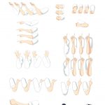 Hand2