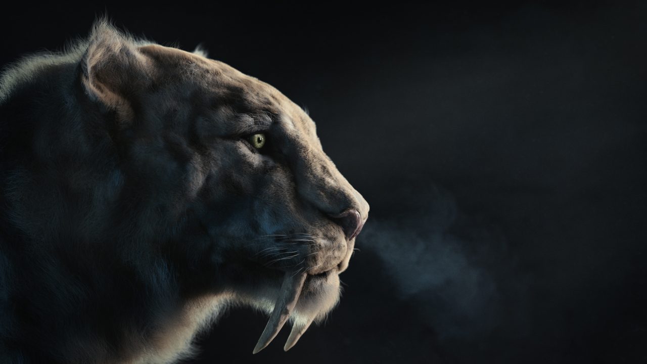 sabertooth