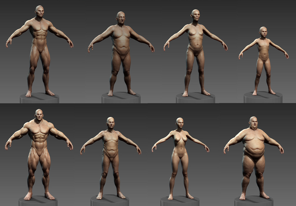 Human Zbuilder v2 for Zbrush 00