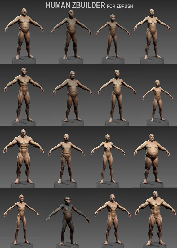Human Zbuilder v2 for Zbrush 02