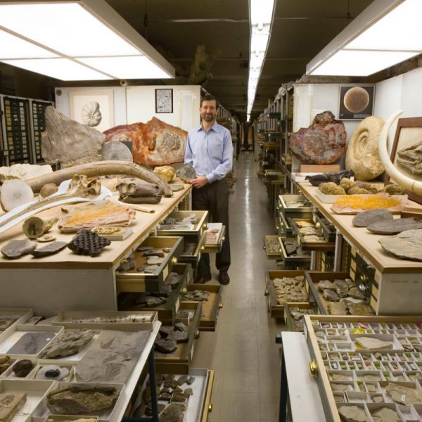 แจกอีกแล้ว !! โมเดล 3D ฟรี 2,000 รายการ และภาพอีก 2.8 ล้านภาพจาก Smithsonian